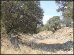 corraldealmaguer.net Morras