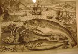 lesturgeons.blogs.nouvelobs.com Morue
