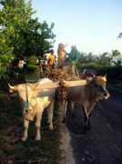 maxmapromo.com Morvany