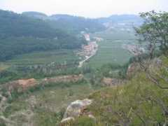 Moscal
