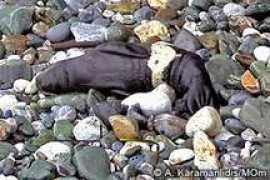 users.auth.gr Moskof