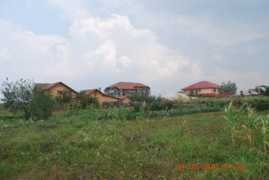 Mosoi