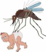 billmurawski.com Mosqui