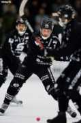 svenskafans.com Mossan