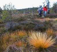web.kristinehamn.se Mossen