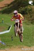 Mossini