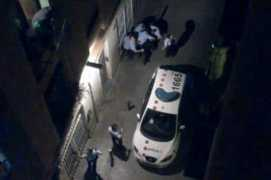 Mossos