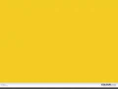 colourlovers.com Mostard