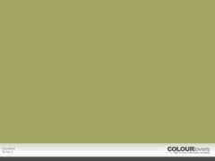 colourlovers.com Mostard