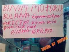 seyvet.com Moturu