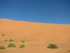 Moualy