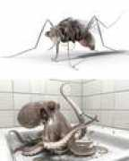 Mouche