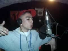 Mouche