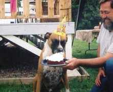 gotpetsonline.com Moucho