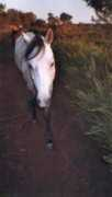 equi-blog.com Moudji