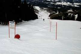 Mougle