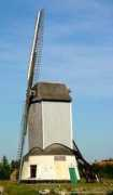 Mouin