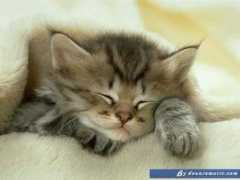 Moumouh