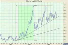 tigersharktrading.com Mounde