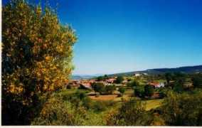 Mourisco