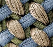 arstechnica.com Moutos