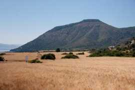 Moutti