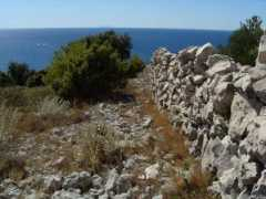 panoramio.com Movar