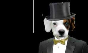 Moyshe