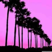 Mozhi