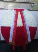 Mozole