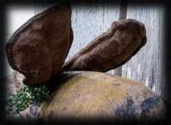 kentuckyprimitives.com Mrbee