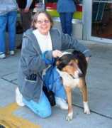 ruffusrescue.org Mrhollywood