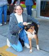 ruffusrescue.org Mrhollywood