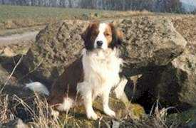 von-chicostein.de Mrico