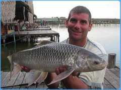 siamfishingtours.com Mrigal