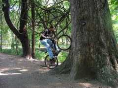cyclists.in Mrigendra