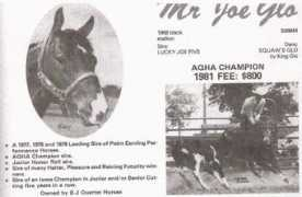 Mrjoe