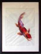 Mrkoi