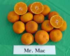aggie-horticulture.tamu.edu Mrmac