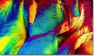 micro.magnet.fsu.edu:80 Mrmike