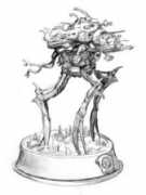spellcaster.com Mrook