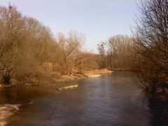 Mrug