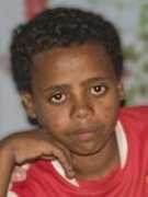msele.nl Msele