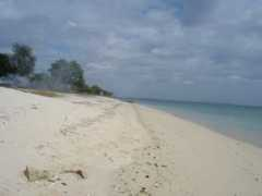 todaytourism.com Msemo