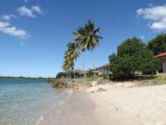 todaytourism.com Msemo