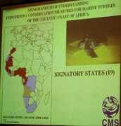 iisd.ca Mshelbwala