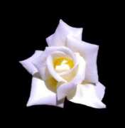 rgbstock.com Mtan