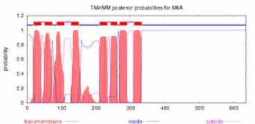 Mtla