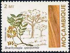 plantstamps.net Mtondo