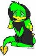 neopets.com Mtre